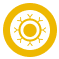 CD-Antigens