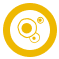 Cytokines