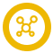 Neurotrophins